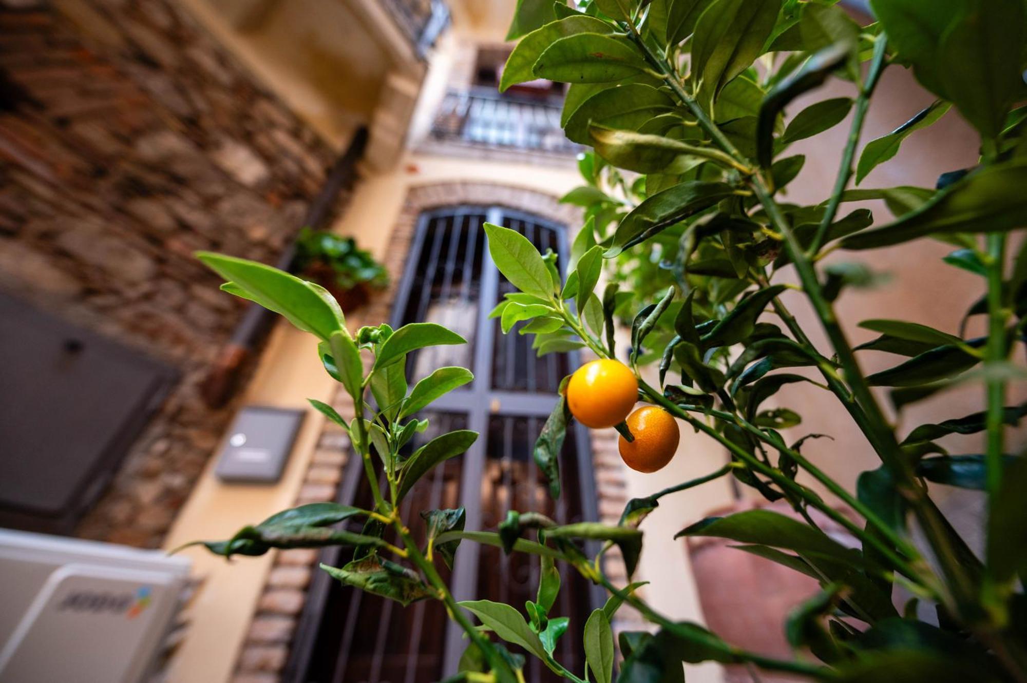 Apartment Central Apartment Taormina *